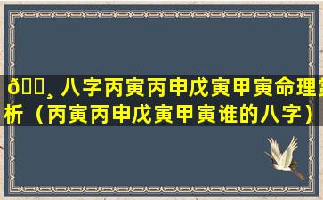 🕸 八字丙寅丙申戊寅甲寅命理赏析（丙寅丙申戊寅甲寅谁的八字）
